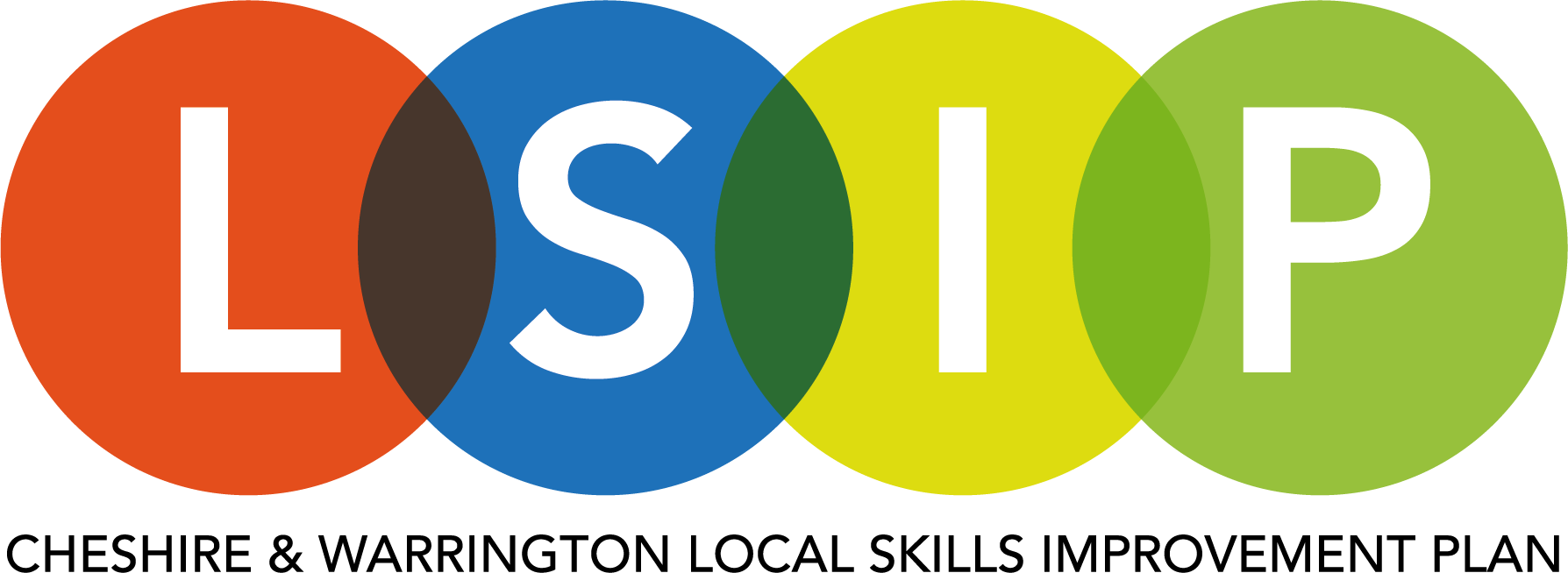 LSIP Logo